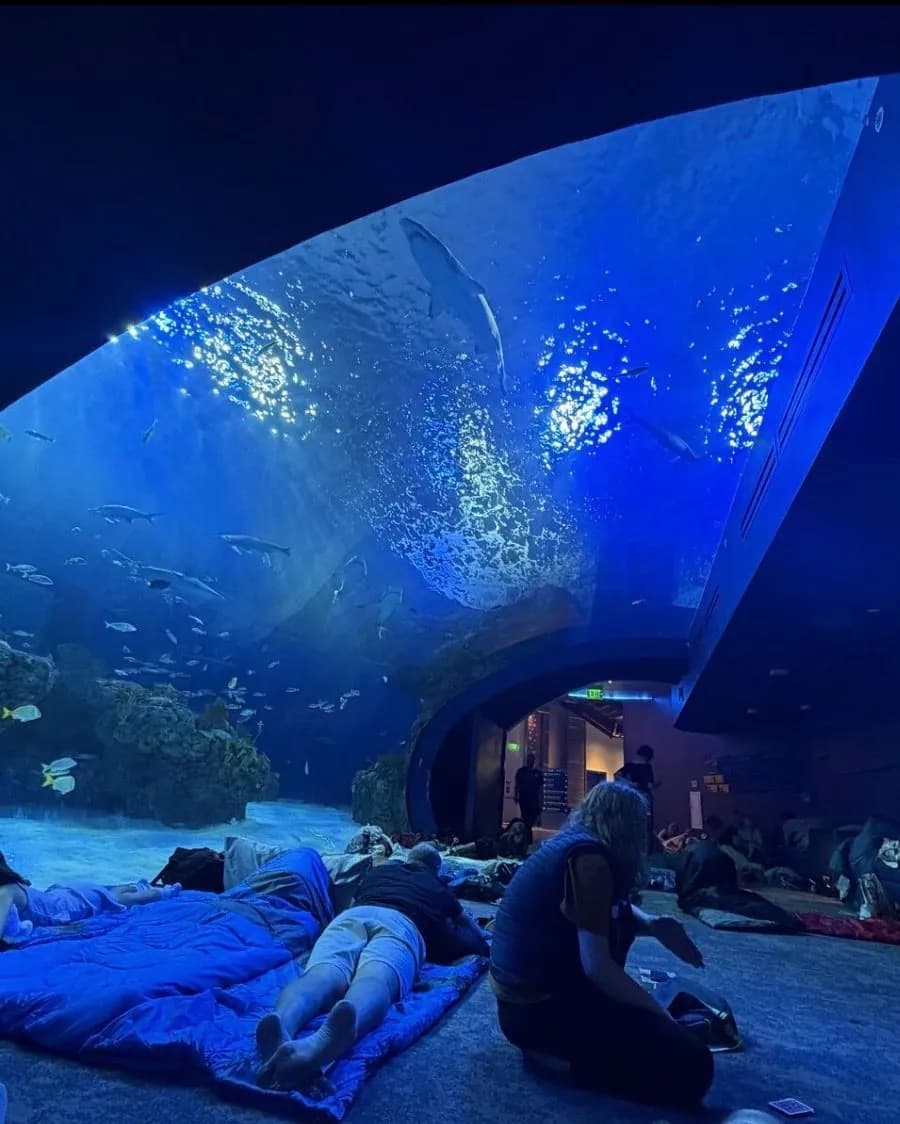 Campers settling onto sleeping bags under a glowing blue tank that arches overhead.